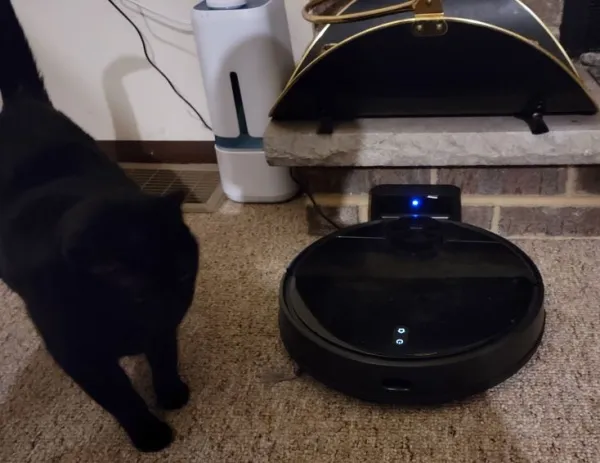 Wyze Robot Vacuum review, Better than it should be at this price.
