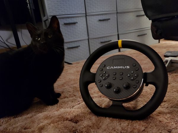 The World's Cheapest DirectDrive Sim Racing Wheel Unboxing: Cammus C5